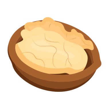 Ceviz modern tasarım, vektör illüstrasyonu