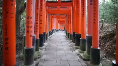 Fushimi Inari kyoto Japon tapınak torii gates