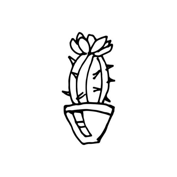 Cacto minimalista com flor. Estilo Doodle. Desenho vetorial ilustração. —  Vetores de Stock