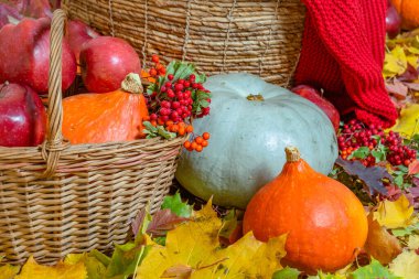  Sonbahar yapraklarında turuncu balkabakları ve kırmızı elmalar