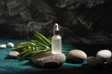 Ekolojik ürününüz için bir model.