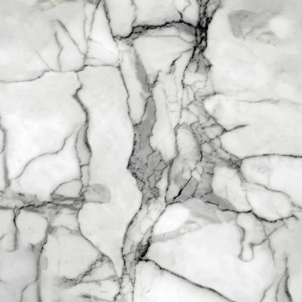 High Resolution Marble Stone Metallic Leather Cement Callacatta Wood Textile — Zdjęcie stockowe