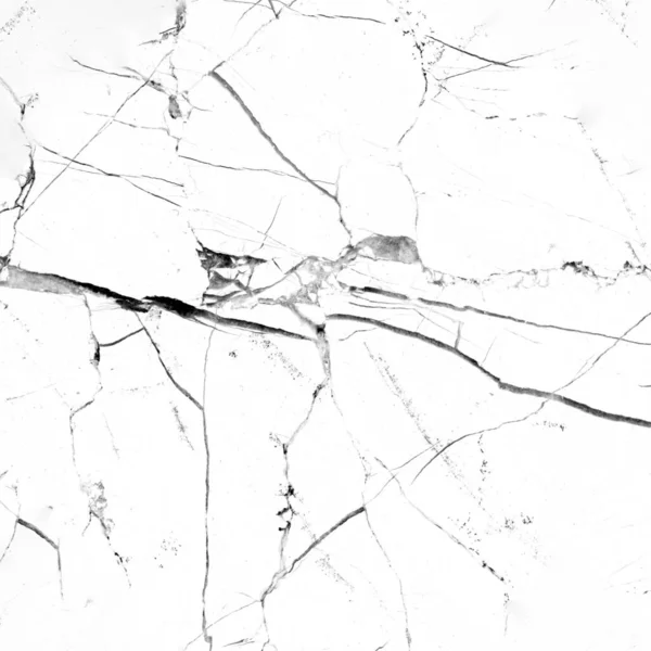 Υψηλής Ανάλυσης Μάρμαρο Πέτρα Μέταλλο Δέρμα Τσιμέντο Callacatta Ξύλο Ύφασμα — Φωτογραφία Αρχείου