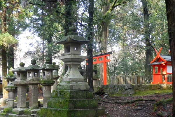 Torii portão e lanternas de pedra — Fotografia de Stock