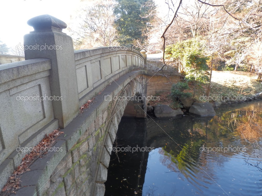 Japanese Brigde, Tokyo