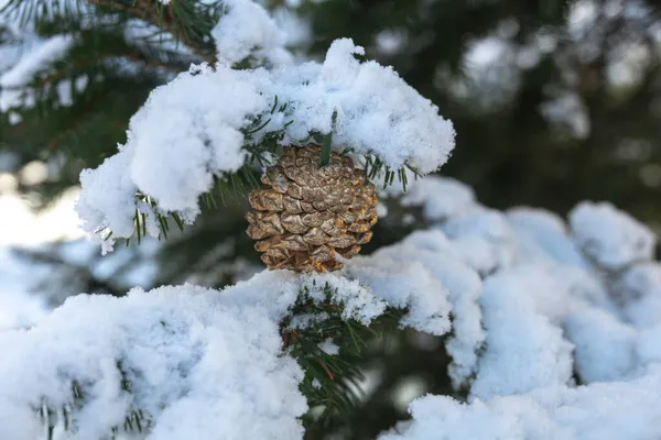 Detail eines dekorativen goldenen Tannenzapfens eines Weihnachtsbaums mit echtem Schnee und selektivem Fokus — Stockfoto