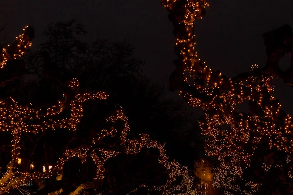 밤에 부르고스 시에 있는 나무의 가지들에 불이켜져 있고 뒤에는 산타마리아 아치가 있다 — 스톡 사진