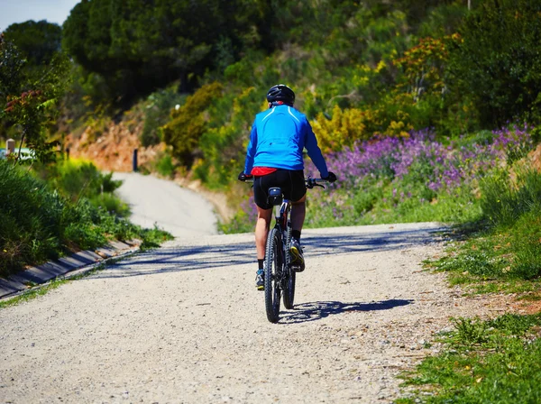 Andar de bicicleta na trilha da montanha — Fotografia de Stock