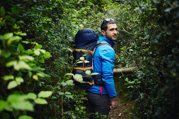 Joven excursionista con mochila caminando en el espeso bosque verde y mirando hacia arriba — Foto de Stock