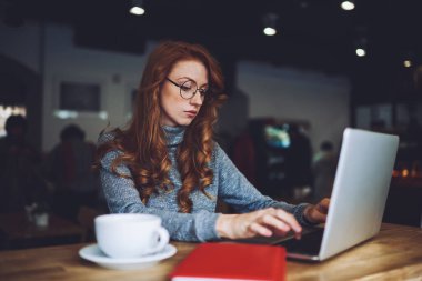 Uzun saçlı, gözlüklü, masa başında oturmuş laptopunu karıştıran ve kafede yeni bir proje için bilgi toplayan odaklanmış kadın serbest yazar.