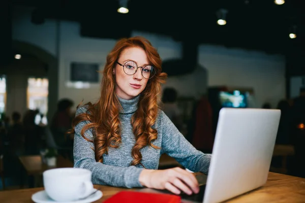 穿着休闲装的严肃的女性远程工作者坐在餐桌旁 咖啡放在笔记本电脑上 在自助餐厅模糊的背景下工作 — 图库照片