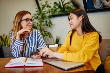 Şık giyinmiş neşeli çoklu etnik öğrenciler ellerinde dizüstü bilgisayarla masada oturmuş kafeteryada çalışırken projenin detaylarını tartışıyorlar.