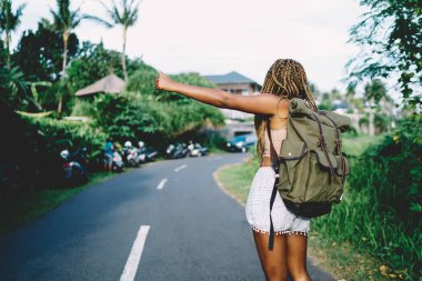Koyu tenli otostopçunun arka görüntüsü, el kaldırarak yol kenarındaki otomobil nakliye aracını yakalayarak vahşi yaşam tarzında yolculuk yapmak için, sırt çantalı kadın turist hayatta kalıyor.
