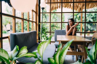 Koyu saçlı, düşünceli, genç, etnik bir turist. Tropikal tatil beldesindeki camdan duvarları olan rahat bir kafede oturmuş düzen bekliyor.