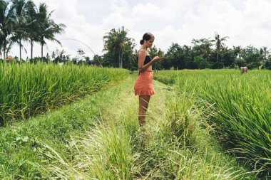Mini etekli, sakin bir genç kızın, akıllı telefonuyla kulaklıkla müzik dinlerken kırsal kesimdeki yeşil çayırlarda duruşu.