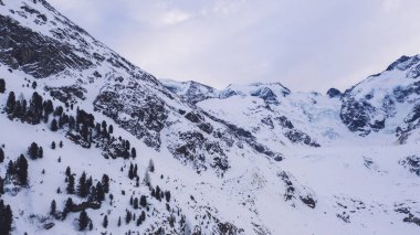 Karlı dağların yamaçlarında, soğuk kış günlerinde, doğada sisli gökyüzüne karşı, kıpır kıpır ağaçlarla kaplı.