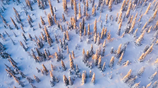 Vogels Oog Vanuit Lucht Groep Reizigers Lopen Samen Besneeuwd Pad — Stockfoto