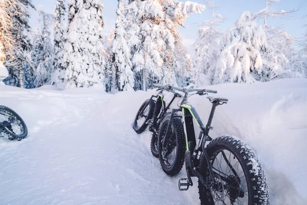 Велосипед Колесами Снежного Бездорожья Тропинка Лесу Активных Экстремальных Верховых Прогулках — стоковое фото