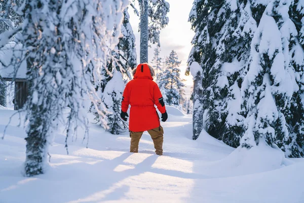 Powrót Widok Mężczyzny Zimie Ubrania Spacery Śnieżnych Ścieżkach Lesie Zwiedzanie — Zdjęcie stockowe