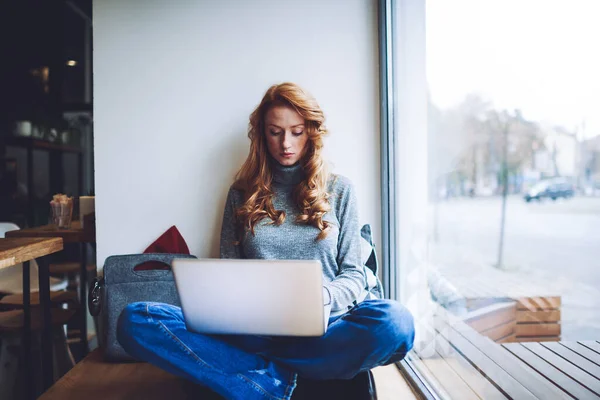 머리카락을 여자가 다리로 앉아서 카페의 창턱에서 노트북을 만드는 집중하고 있습니다 — 스톡 사진