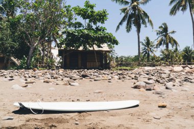 Güneşli bir günde Bali kıyılarında yeşil tropikal ağaçların arasında büyüyen taşların arasında kalan kumlu sahilde beyaz sörf tahtası.