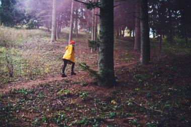 Sarı ceketli, kırmızı şapkalı, uzun ağaçların arasında gizemli ormanda yürüyen kimliği belirsiz bir kadının yan görüntüsü.
