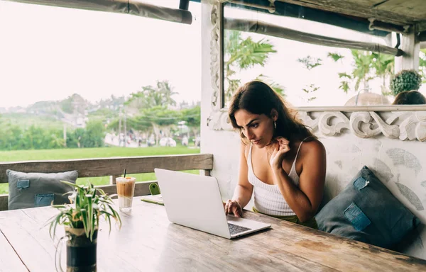 熱帯国の居心地の良いカフェでリモートワーク中に注意してノートパソコンで文書を読んでいる間に髪に触れる深刻な若い民族女性起業家 — ストック写真