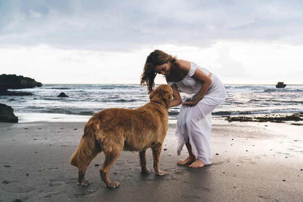 Zarif elbiseli mutlu bir kadın kumlu deniz kıyısında duruyor ve gezintide safkan Golden Retriever köpeğini okşuyor.