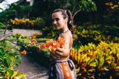 Sakin bir kadının arka plan görüntüsü, rengarenk çiçeklere dokunarak narin taç yapraklarıyla kırsal kesimde bitkilerin yanında dikilip kameraya bakarken.