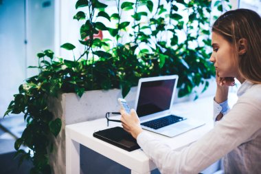 Modern ışıklı kafede dizüstü bilgisayarlı masada oturan genç serbest çalışan yeşil telefon kullanan genç bayanın yan görüntüsü