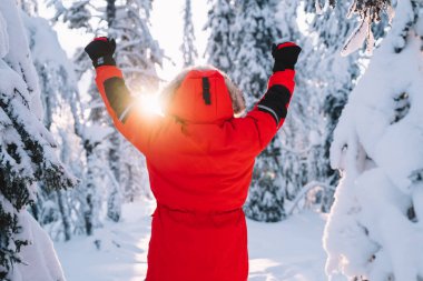 Kırmızı ceketli bir adamın, keşif sırasında kuzeye doğru yolculuk yaparken şehvet dolu bir yere varışının keyfini çıkarırken, erkek gezgin Laponya Ulusal Parkı 'nda heyecanlı hissediyordu.