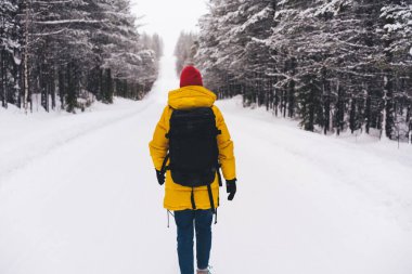 Norveç 'te kış günü kırsal bölgelerde dolaşırken sırt çantalı, kozalaklı ormanın yanında karlı yolda yürüyen kimliği belirsiz birinin arka görüntüsü.