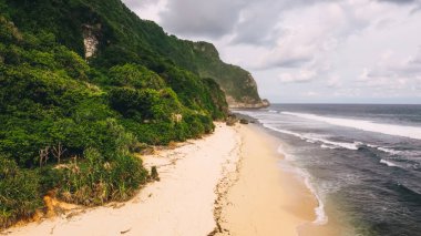 Güneşli bir günde fırtınalı denizin yakınında yetişen tropik bitkilerin yeşil çalılarıyla kumlu sahilin insansız hava aracı manzarası.
