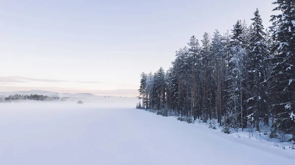 Häpnadsväckande Fågelperspektiv Över Dalen Täckt Med Dimma Före Soluppgången Vintern — Stockfoto