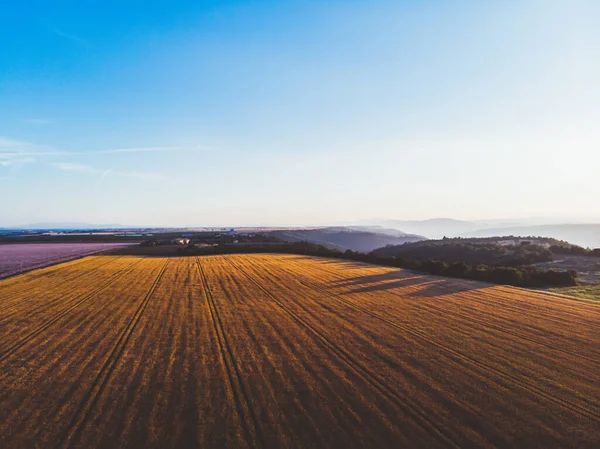 プロヴァンス地域の早朝の日の出の間に澄んだ青空とフランスの風光明媚な無限のラベンダー畑の空中ビュー — ストック写真