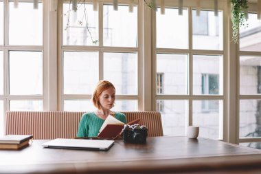 Gündelik giysiler içinde genç kadın serbest çalışan dizüstü bilgisayarlı, dijital fotoğraf makineli ve modern kafede okuma planlayıcılı bir masada oturuyor.