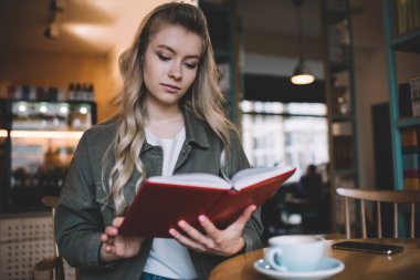 Genç, dalgalı saçlı, serbest çalışan kadın, arka planda bulanık arka planda, kafeteryada bir fincan sıcak içecek ve akıllı telefonla küçük ahşap bir masada oturan planlamacı.