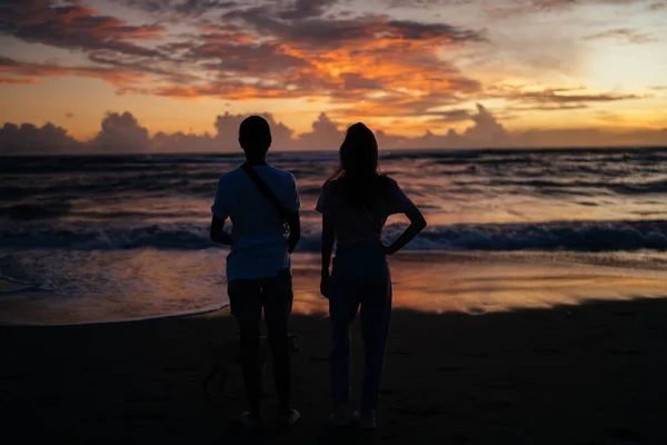 Achteraanzicht Van Het Hele Lichaam Onherkenbare Vrouwelijke Vrienden Met Hond — Stockfoto