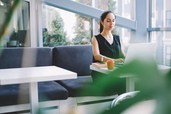 Concentrated Female Using Laptop Work While Sitting Table Sofa Paper — Stock Photo, Image