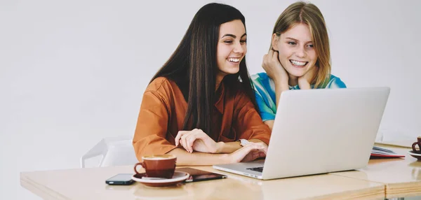幸せな女性リモートワーカー一緒にオンラインで勉強しながら笑顔の女性同僚とネットブックを閲覧し 白い背景に対して楽しみを持って — ストック写真
