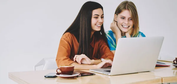 Happy Female Remote Worker Browsing Netbook Smiling Female Colleague While — 图库照片