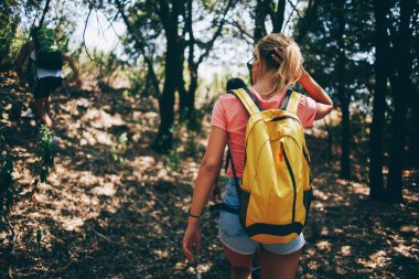 Güneşli bir yaz gününde, sırtlarında sırt çantasıyla ormanda yürüyüş yapan sıradan giysiler giyen isimsiz erkek ve kadın yolcuların arka plan görüntüsü.
