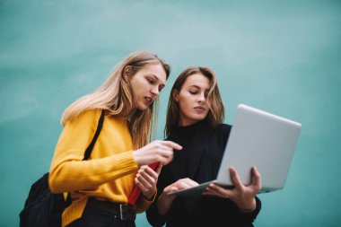 Yeni çalışma projesi için bilgi toplarken günlük kıyafetlerle dizüstü bilgisayara bakan genç kız öğrencilerin düşük açılı görüntüsü