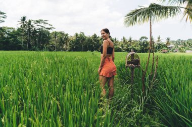 Yaz tatillerini tropikal tatil beldelerinde geçirirken şık giyinmiş, kırsal alanda dinlenen pozitif genç bayan turistin yan görüntüsü