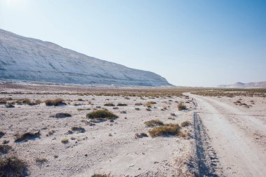 Çölde, kayalık dağlarla ve Ustyurt Doğa Koruma Alanındaki sarı çimlerle kaplı kuru, kumlu ve asfaltsız bir yolda.