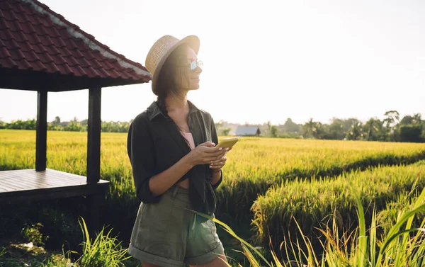 Moda güneş gözlüklü güzel seyahat blogcusu yazın boş zamanlarının tadını çıkarıyor modern akıllı telefon teknolojisi olan kaygısız bin yıllık kadın çardakla doğayı yeniden canlandırıyor.