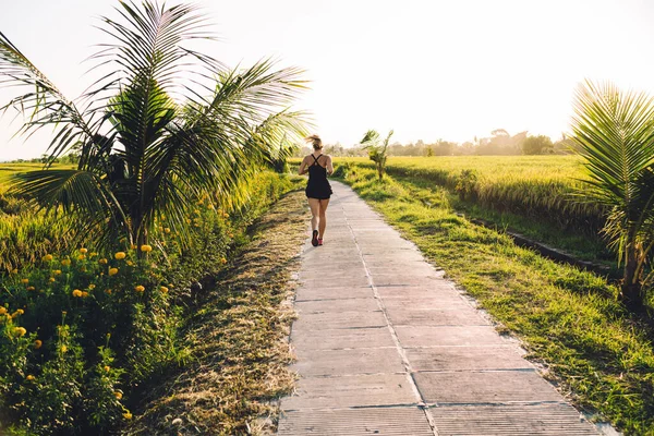 在菲律宾阳光明媚的日子里 穿着夏衣的无名女士在一片繁茂的稻田里沿着空旷的小路奔跑 这让人回想起她 — 图库照片