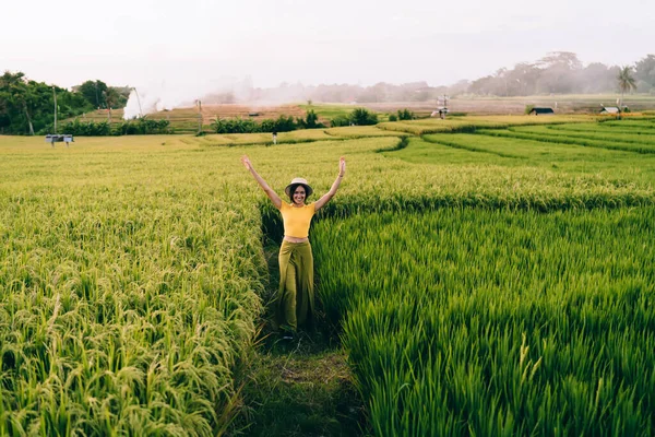 Vietnam Yeşil Pirinç Tarlalarında Gezinirken Kolları Havada Egzotik Bir Tatil — Stok fotoğraf