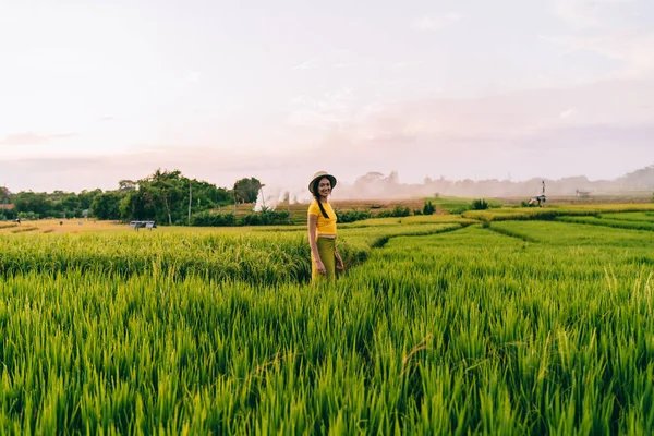 Side View Anonymous Woman Standing Rice Bushes Looking Camera While — Foto Stock