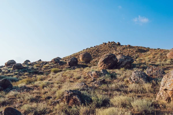 stock image Picturesque view of dry grass and big stones on hill in sunny day under bright blue sky in summer time in Ustyurt Nature Reserve